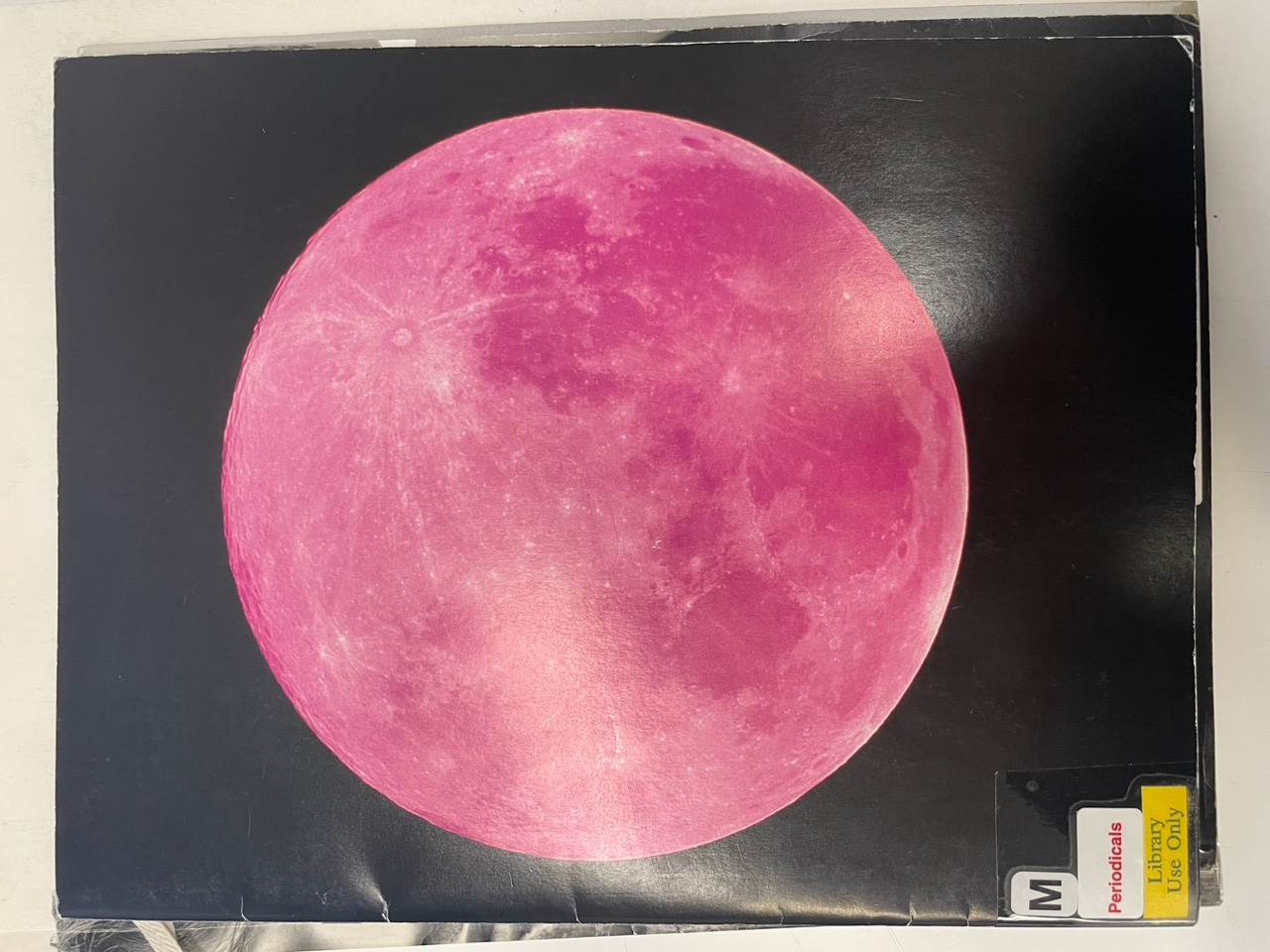 Photo Apr 06 2025, 16 58 38.jpeg