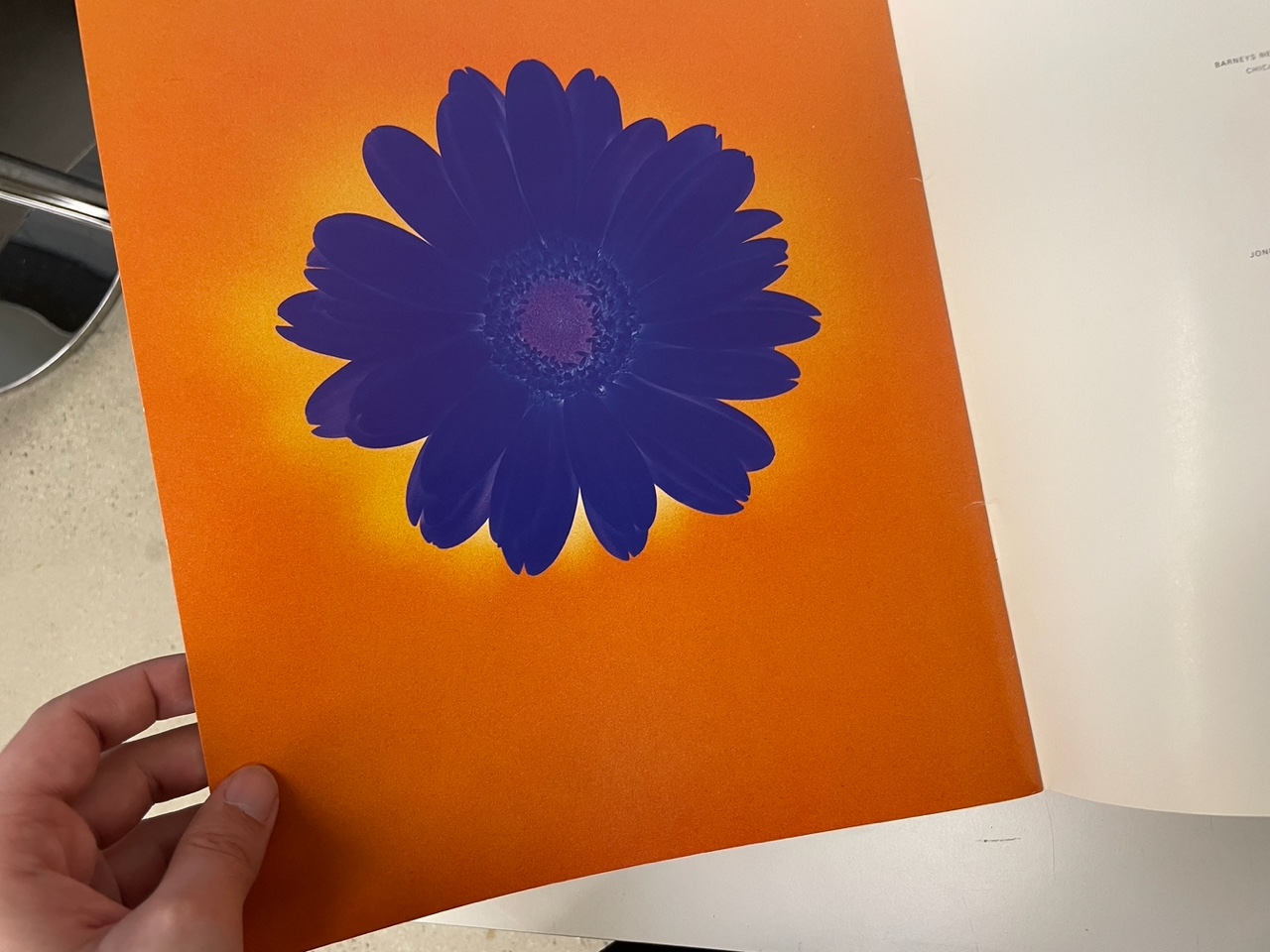 Photo Apr 06 2025, 16 59 45.jpeg