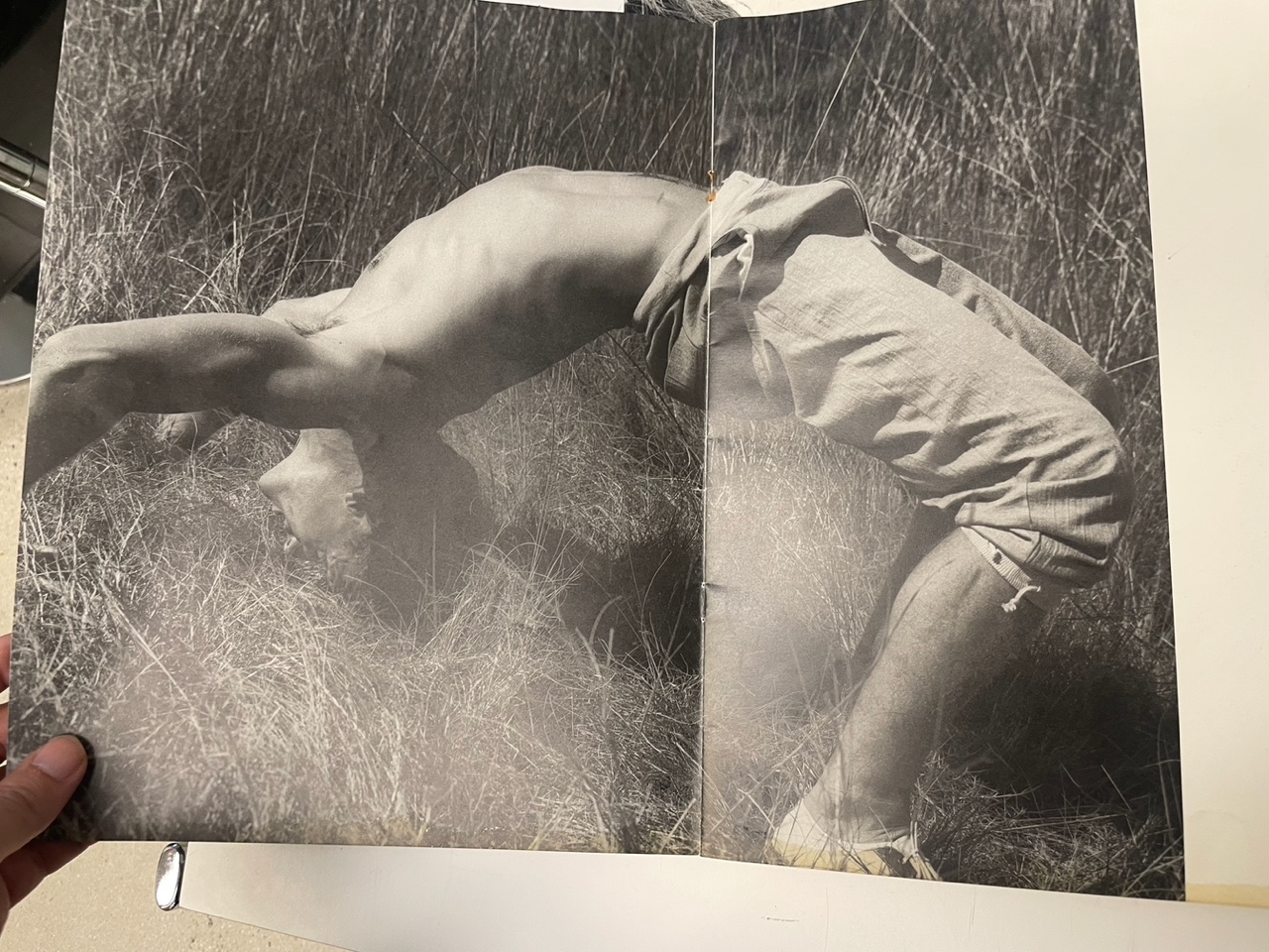 Photo Apr 06 2025, 17 00 28.jpeg