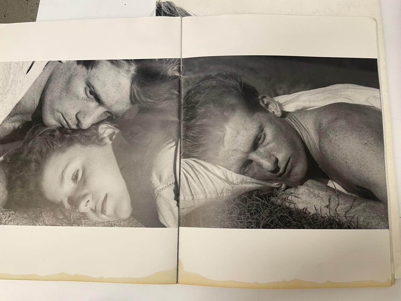 Photo Apr 06 2025, 17 01 02.jpeg