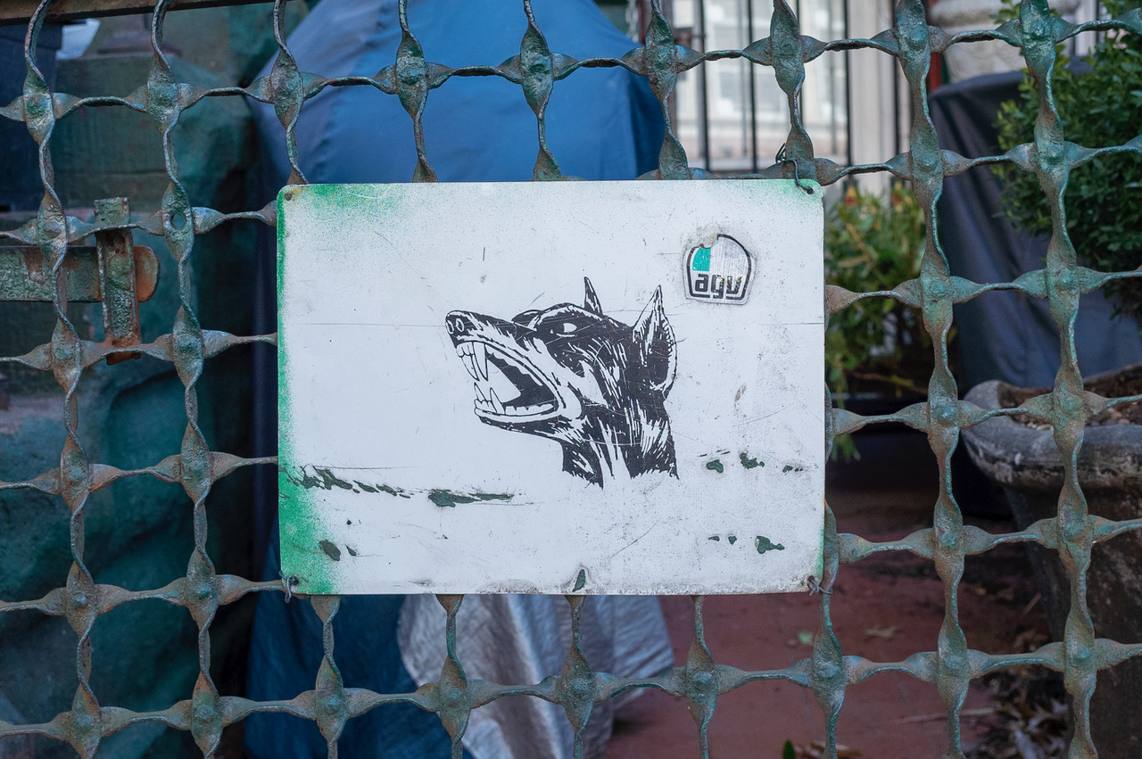 R0012223.jpeg
