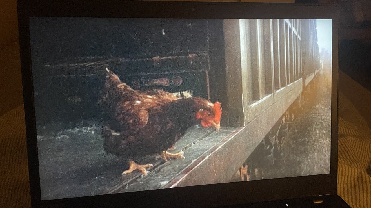 photo_2025-05-06 11.08.47.jpeg