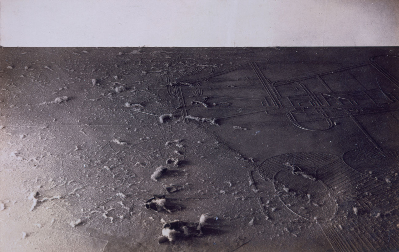 man-ray-dust-breeding-literrature-crop-1920.jpeg
