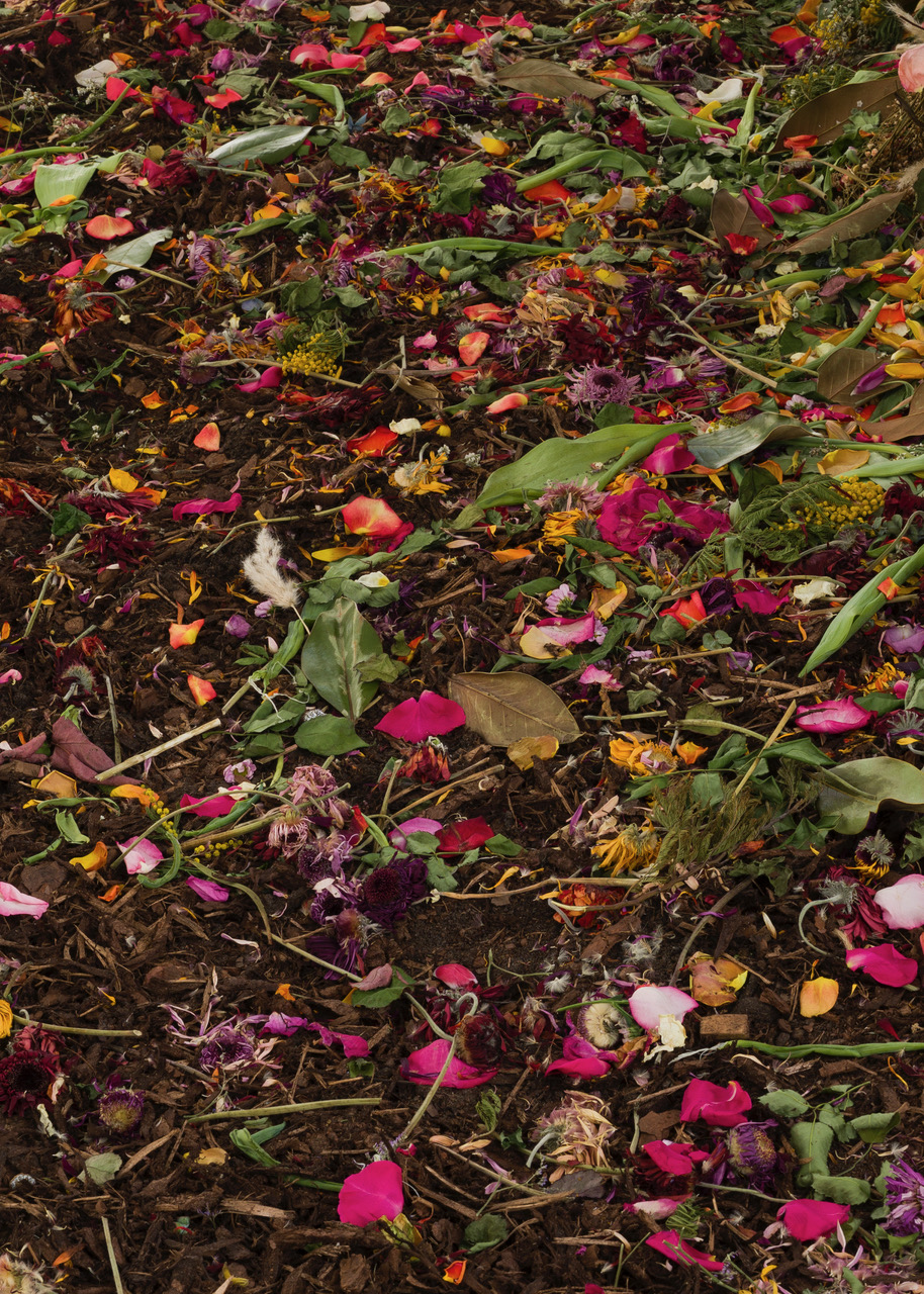 Kunstverein-Muenchen_Flower+Planet_27.jpeg